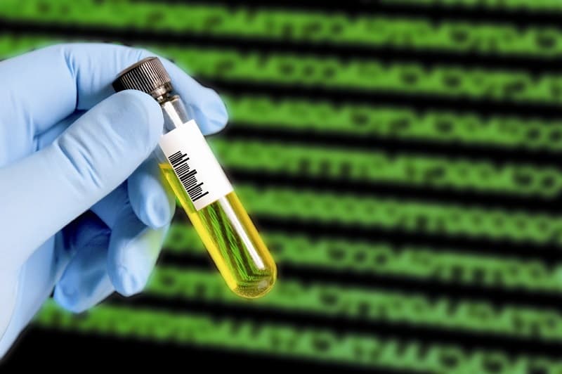 آغاز مرحله اول طرح توسعه اقتصاد زیستی در خراسان رضوی با همکاری شتابدهنده خیام