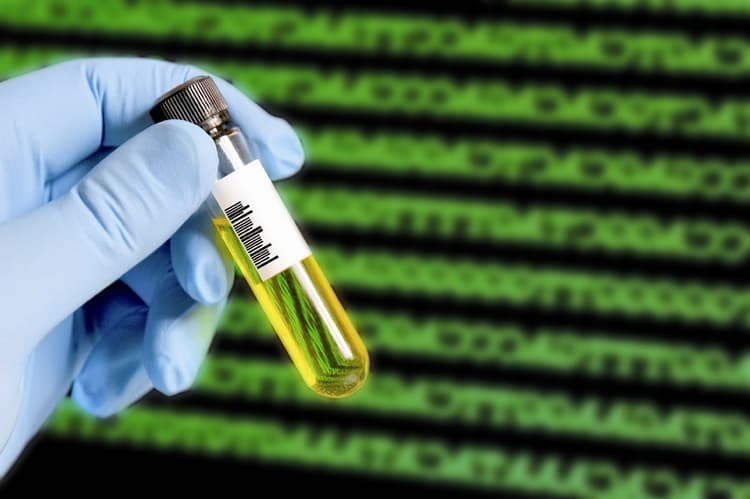 آغاز مرحله اول طرح توسعه اقتصاد زیستی در خراسان رضوی با همکاری شتابدهنده خیام