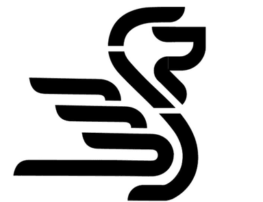 فروغ روشن پاسارگاد - مرکز شتابدهی نوآوری